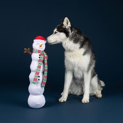 Snowball Party Large Plush Dog Toy
