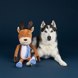 Extra Product Image