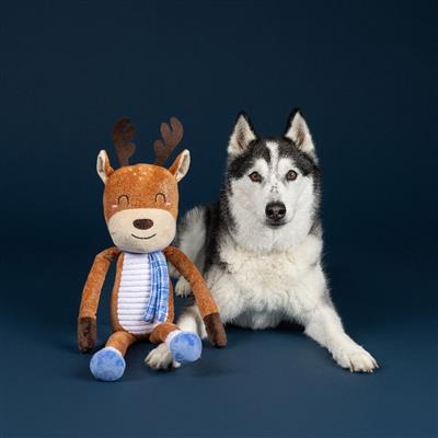 Dashin' Around Large Plush Dog Toy