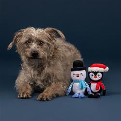 Extra Product Image