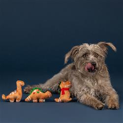Extra Product Image