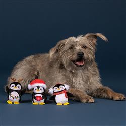 Extra Product Image