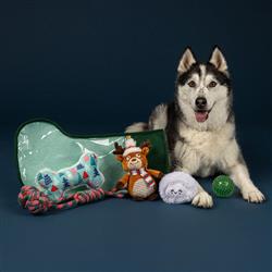 Extra Product Image
