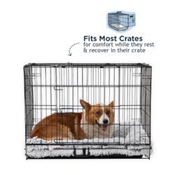 Extra Product Image