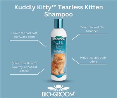 Bio-Groom Kuddly Kitty Shampoo 8oz