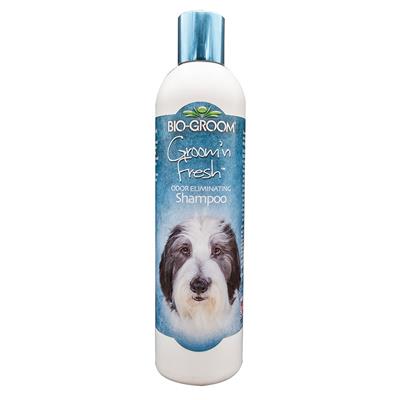 Bio-Groom Groom'n Fresh Shampoo 12oz