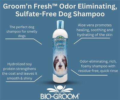 Bio-Groom Groom'n Fresh Shampoo 12oz