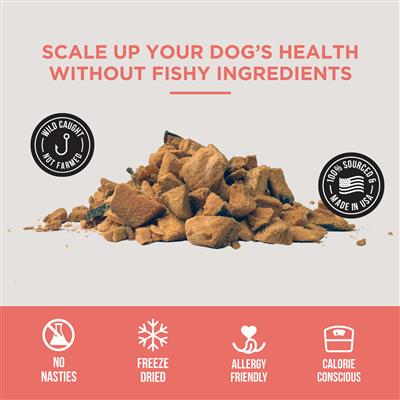 Freeze Dried Salmon - Bulk