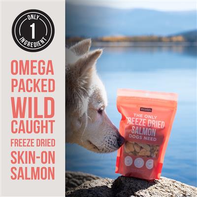 Freeze Dried Salmon - Bulk