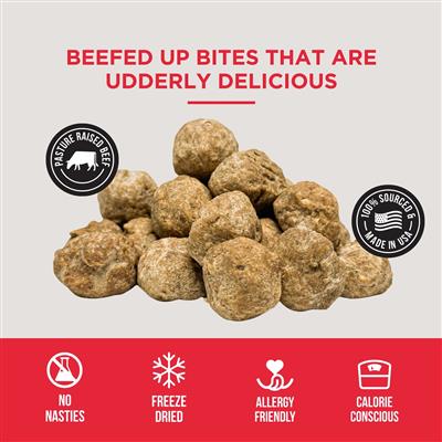 Freeze Dried Beef Meatballs - BULK