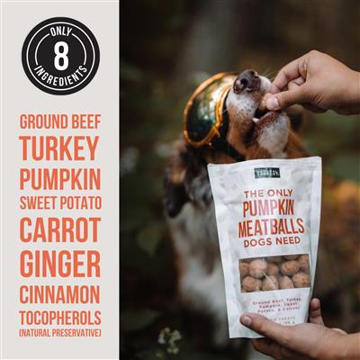 Freeze Dried Pumpkin Meatballs - BULK