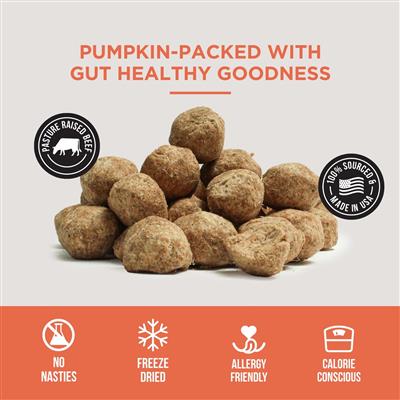 Freeze Dried Pumpkin Meatballs - BULK