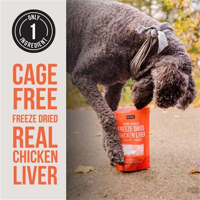 Freeze Dried Chicken Liver - BULK