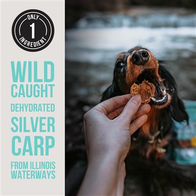 Dehydrated Silver Carp - BULK
