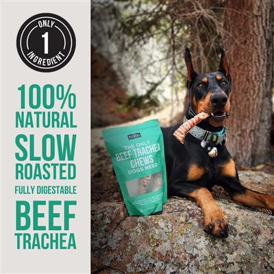 Beef Trachea Chews - Bulk