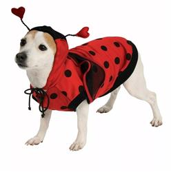 Rubies Ladybug Pet Costume Medium