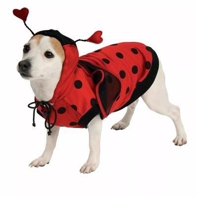 Rubies Ladybug Pet Costume Medium