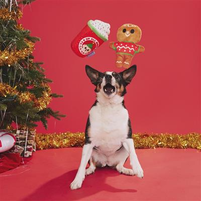 BARK Ginger Brew Crew Dog Toy