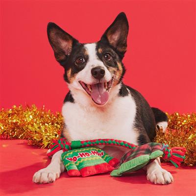 BARK Christmutts Sweaters Dog Toy