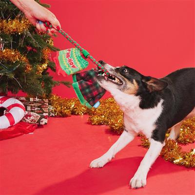 BARK Christmutts Sweaters Dog Toy