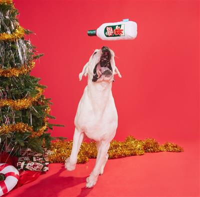 BARK Gingerbread Gin Dog Toy