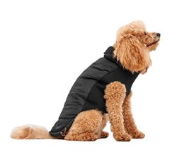 Goo-Eez Mock Neck Signature Dog Jacket Black Medium