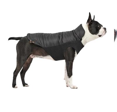 Goo-Eez Mock Neck Signature Dog Jacket Black XLarge