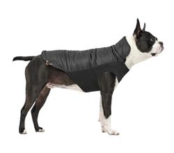 Goo-Eez Mock Neck Signature Dog Jacket Black Small