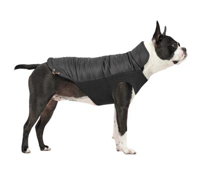 Goo-Eez Mock Neck Signature Dog Jacket Black Small