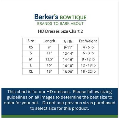 Blue Gingham Dress-Ruby Red Bows