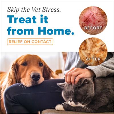 HomeVet Itch and Allergy Spray, 8oz