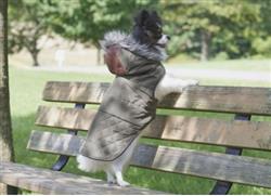 Spot Ethical Pet Leather Detail Coat Olive Medium