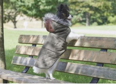 Spot Ethical Pet Leather Detail Coat Olive Medium