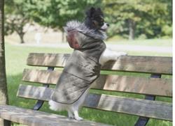 Spot Ethical Pet Leather Detail Coat Olive Small