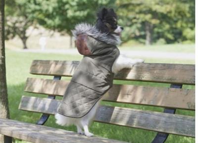 Spot Ethical Pet Leather Detail Coat Olive Small