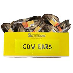 Natural Cow Ear with Hair Shrink with UPC Large PDQ of 36