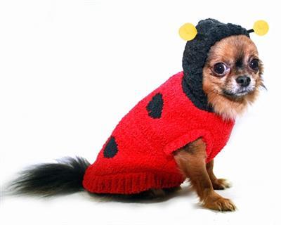 Chenille Lady Bug