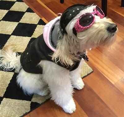 Vintage Bomber Jacket