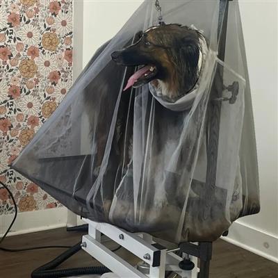 Extra Large Flying Fur Catcher Black by Big Hair Net