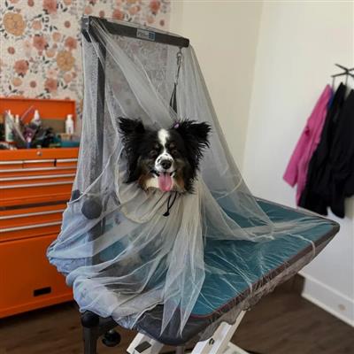 Extra Large Flying Fur Catcher Black by Big Hair Net
