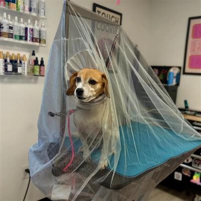 Extra Large Flying Fur Catcher Black by Big Hair Net