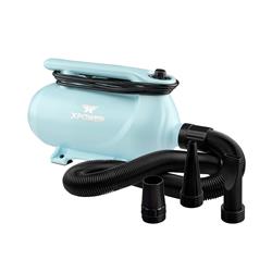 XPOWER B-163 High Velocity Variable Speed Double Motor Pet Dryer - Sky Blue