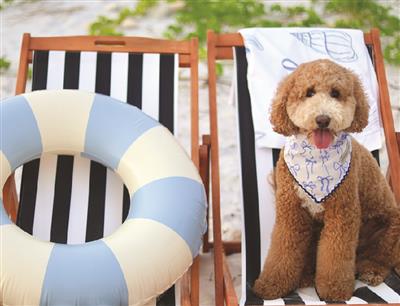 Stella & Oscar Ocean Knot Bandana