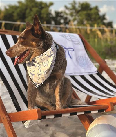 Stella & Oscar Ocean Knot Bandana