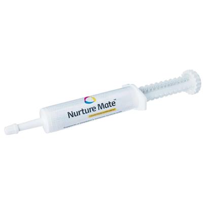 Nurture Mate for Puppies & Kittens 30ml by Breeder's Edge