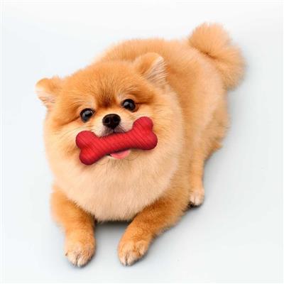 DUAL LAYER BONE BEEF SM