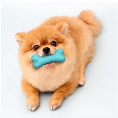 DUAL LAYER BONE PEANUT BUTTER SM