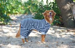 Spot Ethical Pet Striped Pajama Blue Small