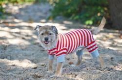 Fashion Pet Striped Pajama Red Xxs