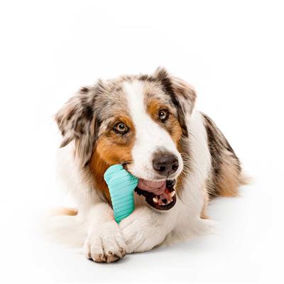 DUAL LAYER BONE PEANUT BUTTER JUMBO